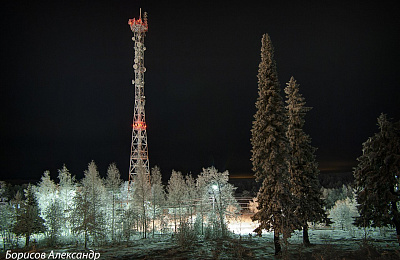 Лесопарковая зона «Пихтовые горы» победила в рейтинговом голосовании по выбору объектов благоустройства на 2021 год
