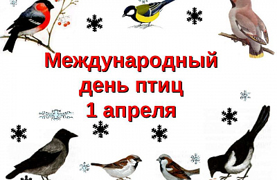 «Пернатая» суббота и встреча родоведов в Нижнем Тагиле