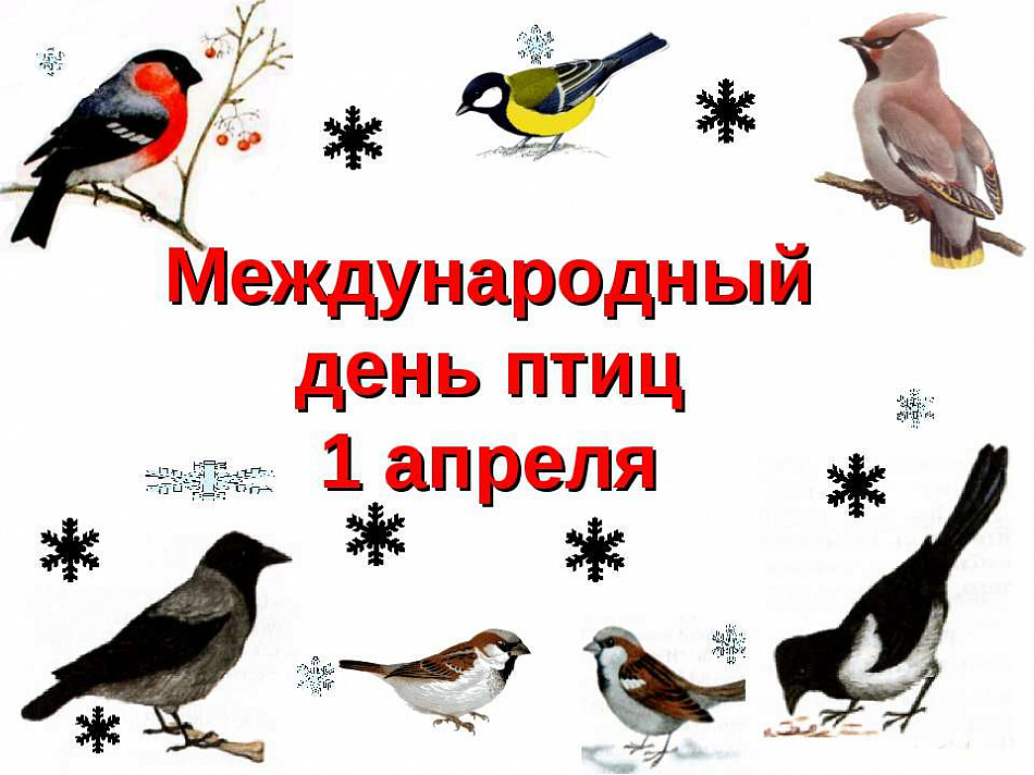 «Пернатая» суббота и встреча родоведов в Нижнем Тагиле