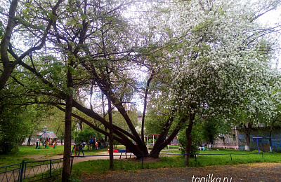 Нижнему Тагилу выделена областная субсидия на благоустройство двора на Лебяжке