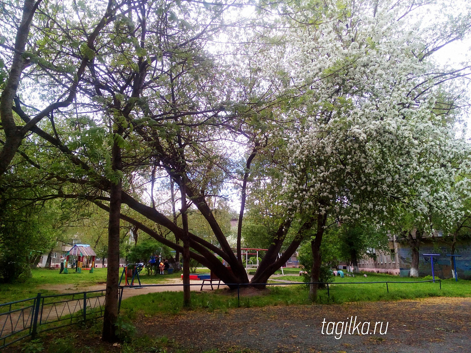 Нижнему Тагилу выделена областная субсидия на благоустройство двора на Лебяжке