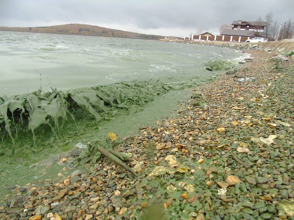 Прокуратура пожаловалась в областной суд на «Водоканал-НТ» из-за Черноисточинского пруда