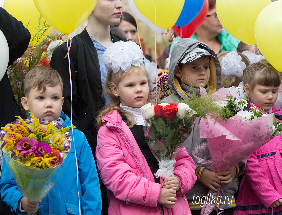 Школа: ЕГЭ, путевки в лагеря, поступление в первый класс