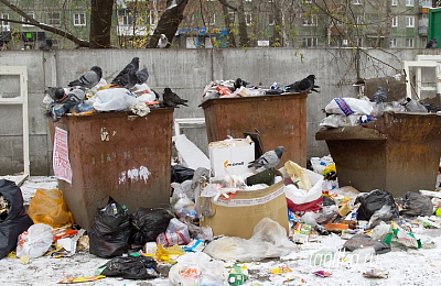 Работают горячие линии по вопросам несвоевременного вывоза мусора из дворов и контейнерных площадок