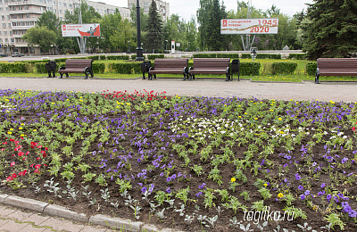 В Нижнем Тагиле будет создан план по озеленению города