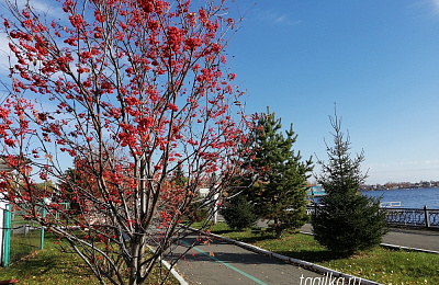 Какие территории благоустроить в 2021 году? В мэрии ждут предложений от тагильчан