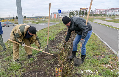 В Нижнем Тагиле продолжается озеленения экопарка на Муринских прудах
