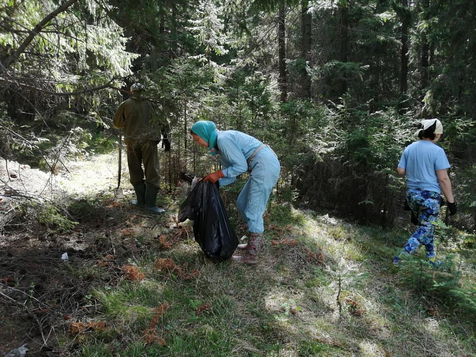 В Черноисточинске несколько семей вышли на расчистку леса 