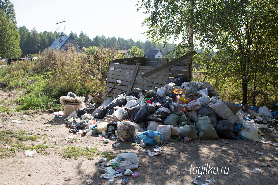 Как и куда в Нижнем Тагиле вывезти мусор из коллективного сада?