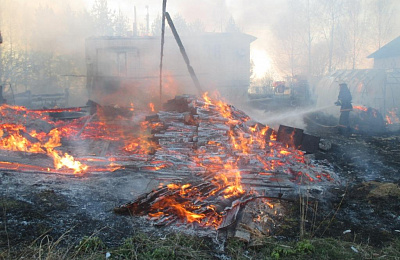 В Покровском сгорели два жилых дома и лошади