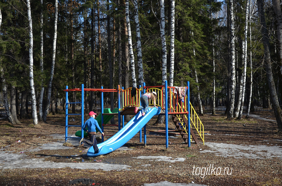 Голосуем за аллеи, качели, детские площадки