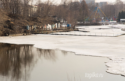 Сезонные проблемы: и даже пень в весенний день…