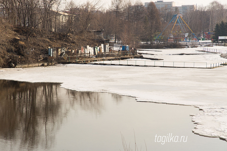 Сезонные проблемы: и даже пень в весенний день…