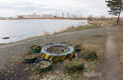 По дороге на Муринские пруды