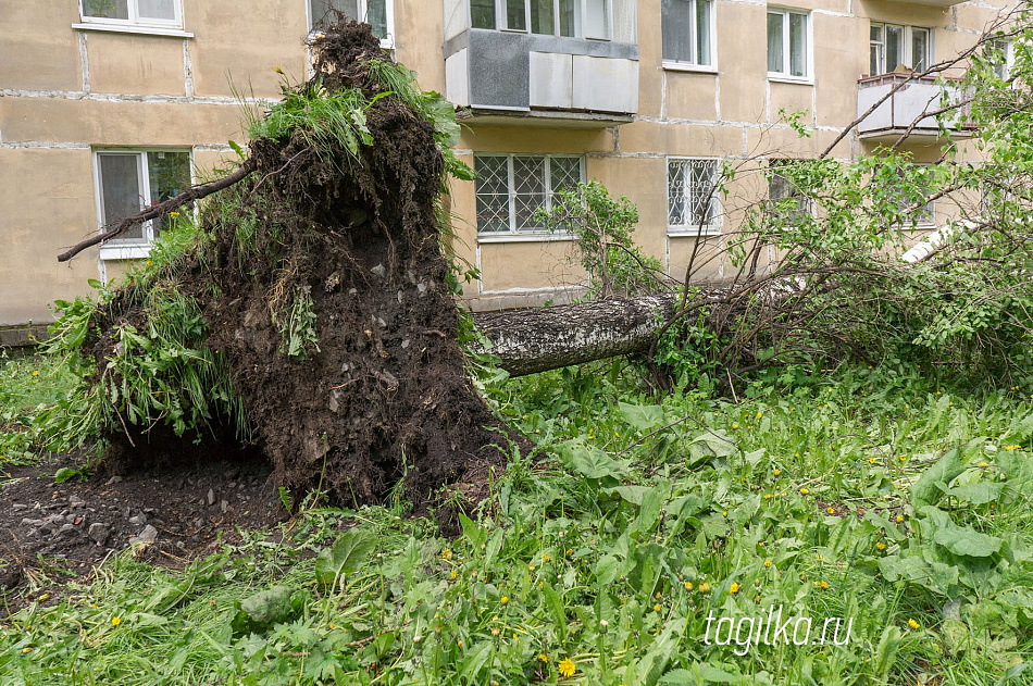 В Нижнем Тагиле людей, пострадавших  во время урагана в субботу 3 июня, госпитализировали только в ЦГБ №4