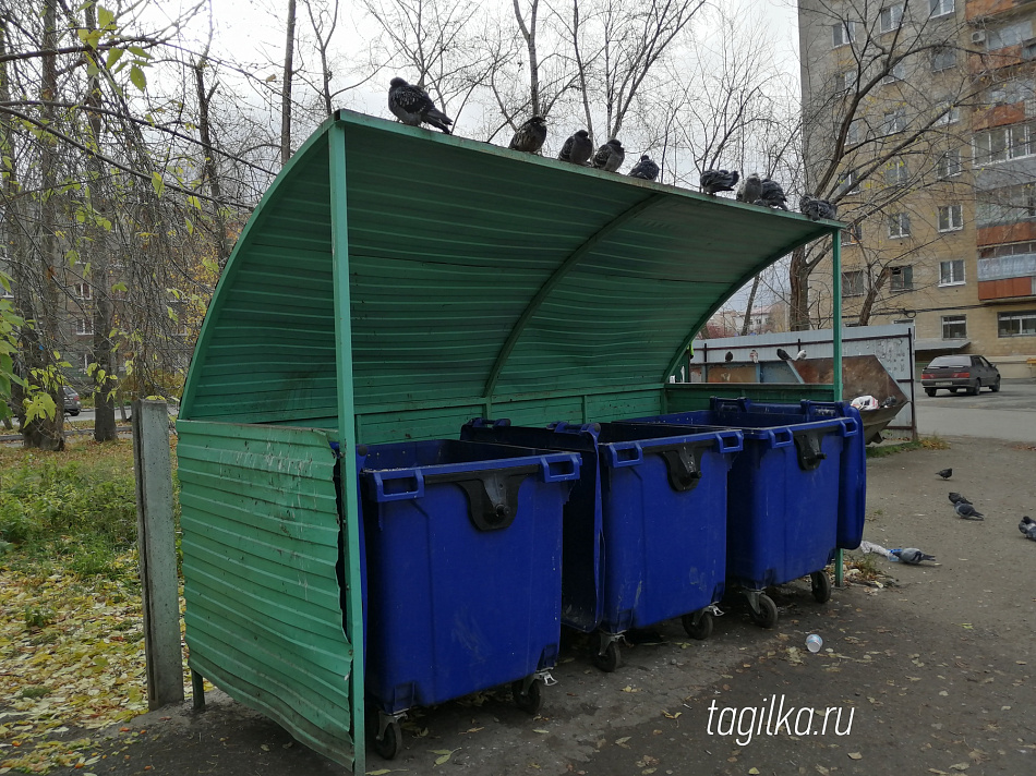 В Нижнем Тагиле сданы новые контейнерные площадки