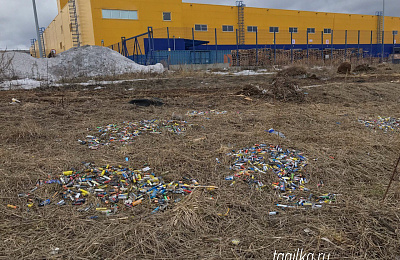 Тагильчане обнаружили свалку из тысячи батареек вблизи гипермаркета «Лента»