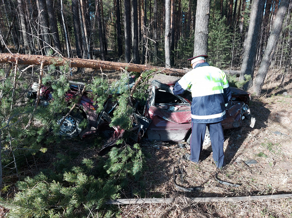 Под Нижним Тагилом иномарка вылетела с трассы и врезалась в дерево