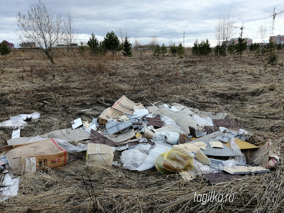 В Нижнем Тагиле с начала года ликвидировано более сотни  несанкционированных свалок