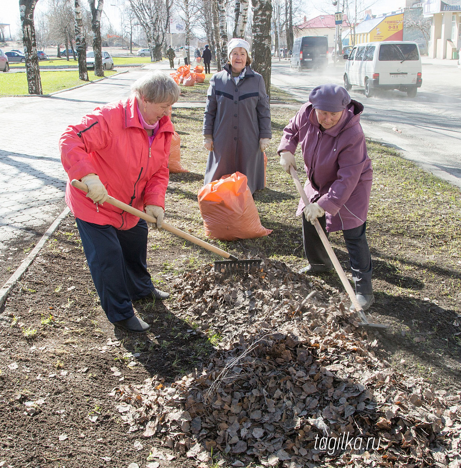 В Нижнем Тагиле ветераны вышли на субботник