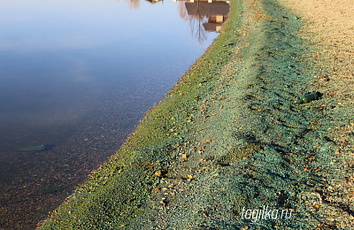 Качество питьевой воды в Нижнем Тагиле - на контроле у  главы города
