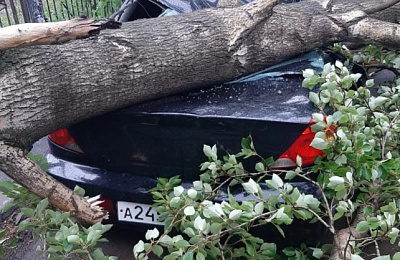 В ночь с 22 на 23 июня Екатеринбург накрыло мощной грозой