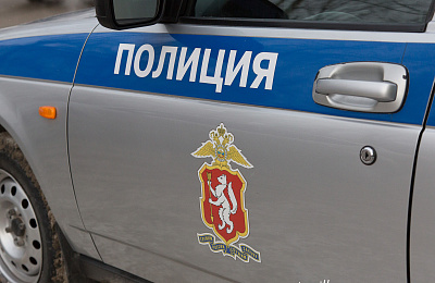 В Нижнем Тагиле полиция оперативно задержала подозреваемого в грабеже