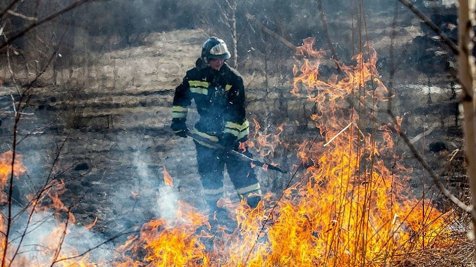 За минувшие сутки в Нижнем Тагиле выгорело почти 2 тыс. кв.м сухой травы