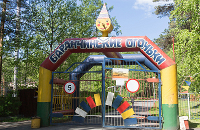 Детский лагерь «Баранчинские огоньки» закрыт из-за вспышки кишечной инфекции