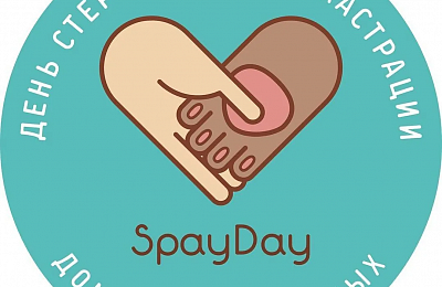 Акция Spay Day – всемирный день кастрации и стерилизации животных

