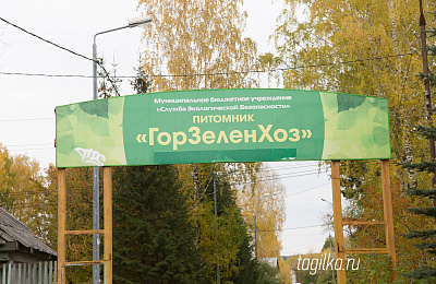 В Нижнем Тагиле восстанавливается собственное тепличное хозяйство