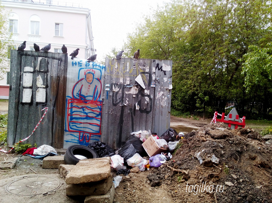 В поле зрения - площадка ТКО на улице Карла Маркса