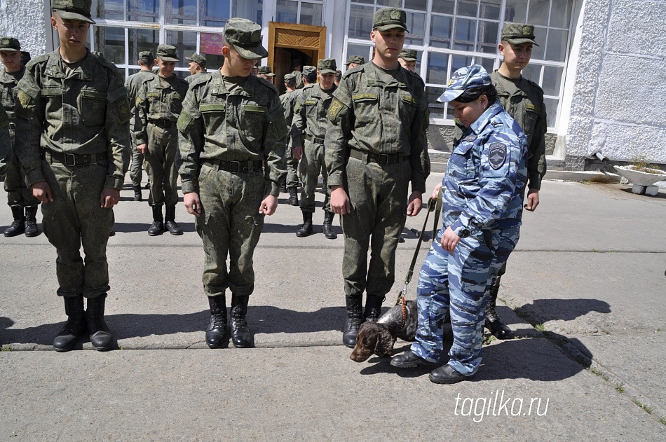 Армия против наркотиков 